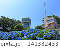館鼻公園のグレットタワーと満開のアジサイ｜晴天の青空に映える紫陽花 青森県八戸市 141332433