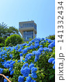 館鼻公園のグレットタワーと満開のアジサイ｜晴天の青空に映える紫陽花 青森県八戸市 141332434