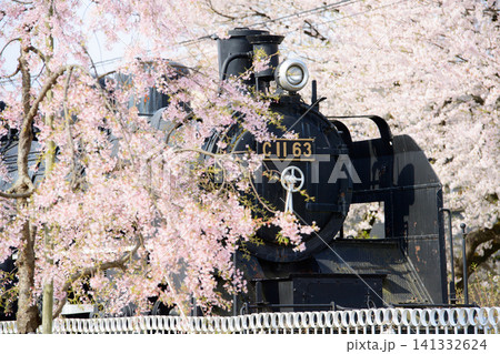 清々しい朝 SLと満開の桜 日中線枝垂れ桜並木 福島県 清々しい朝 SLと満開の桜 日中線枝垂れ桜並木 福島県 141332624