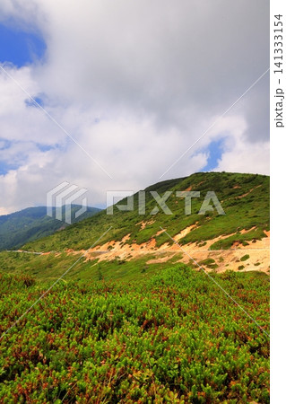 毛無峠から望む長野県側の高原風景と山岳景観 毛無峠から望む長野県側の高原風景と山岳景観 141333154
