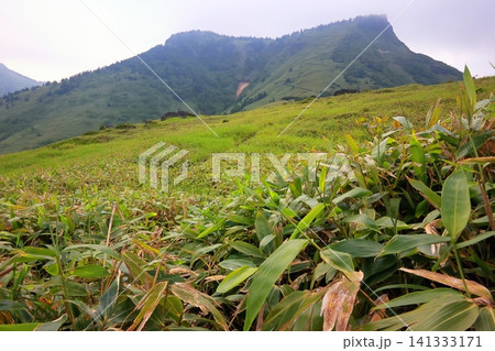 笹原の広がる毛無峠と破風岳の稜線風景 141333171