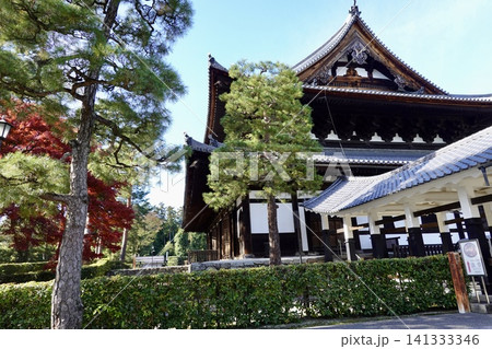 相国寺　法堂の建物を見た風景　京都市上京区 141333346