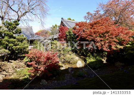 相国寺 方丈から鮮やかに色づいた紅葉を見た風景 京都市上京区 相国寺 方丈から鮮やかに色づいた紅葉を見た風景 京都市上京区 141333353
