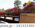 相国寺　開山堂から鮮やに赤く色づいた紅葉を見た風景　京都市上京区 141333360