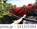 相国寺　開山堂から鮮やに赤く色づいた紅葉を見た風景　京都市上京区 141333364