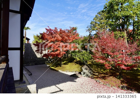 相国寺 開山堂から鮮やに赤く色づいた紅葉を見た風景 京都市上京区 相国寺 開山堂から鮮やに赤く色づいた紅葉を見た風景 京都市上京区 141333365