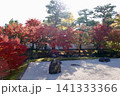 相国寺　開山堂から鮮やに赤く色づいた紅葉を見た風景　京都市上京区 141333366