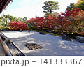 相国寺　開山堂から鮮やに赤く色づいた紅葉を見た風景　京都市上京区 141333367