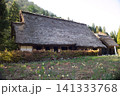 春の里山に建つ茅葺き屋根の古民家、水仙の花が咲く日本の原風景素材 141333768