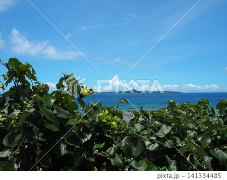 沖縄の美しい海 沖縄の美しい海 141334485