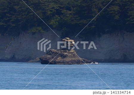 日本三景松島の仁王島（宮城県） 141334714