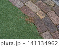 除草剤を撒いて枯れた雑草 141334962