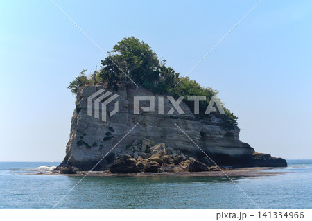日本三景松島の水島（宮城県） 141334966