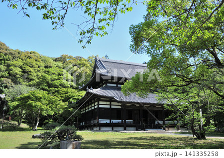 根来寺(大伝法堂) 【和歌山県岩出市】 141335258