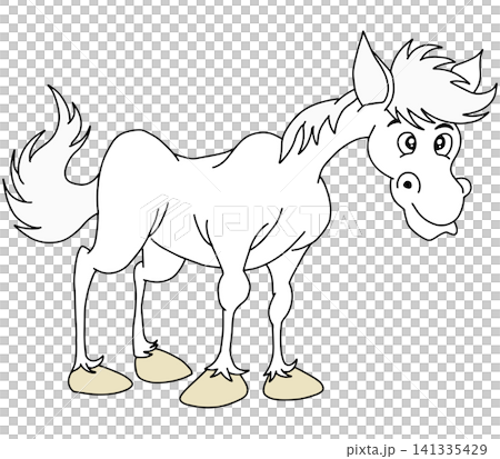 Hand-drawn animal illustration ☆ White horse 141335429