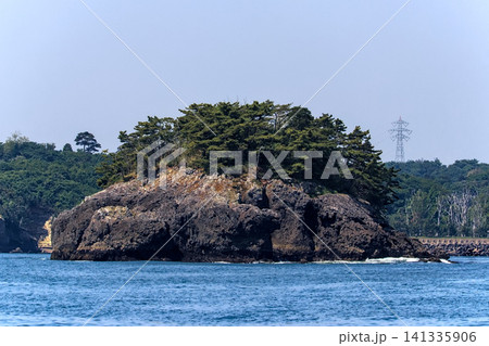 日本三景松島の鍋島（宮城県） 141335906