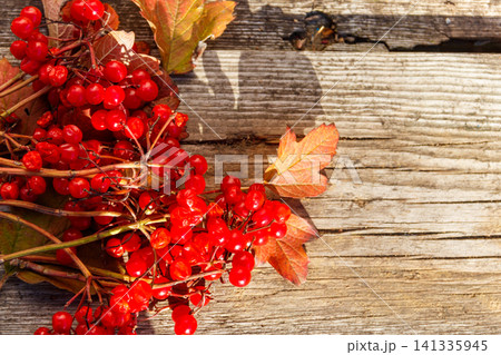 Red berries of viburnum on rustic wooden background. Top view, copy space 141335945