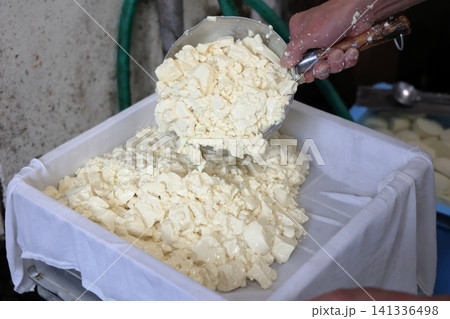 木綿豆腐の成形工程で型に入れられる豆腐生地 木綿豆腐の成形工程で型に入れられる豆腐生地 141336498