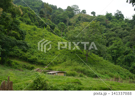 View from trekking through lush, verdant forests lead to Nang Lae Waterfall in Chiang Rai province, Thailand View from trekking through lush, verdant forests lead to Nang Lae Waterfall in Chiang Rai province, Thailand 141337088