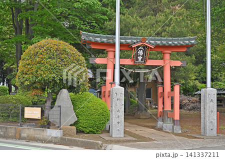 岩槻散歩：尾ヶ崎八幡神社　朱鳥居　参道 141337211