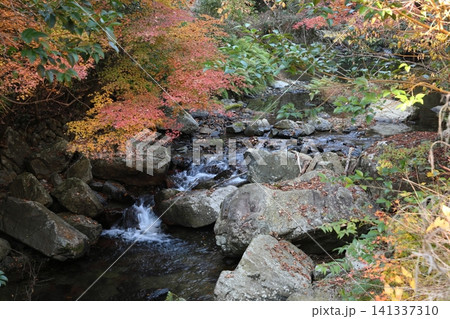 紅葉と川のある風景 紅葉と川のある風景 141337310