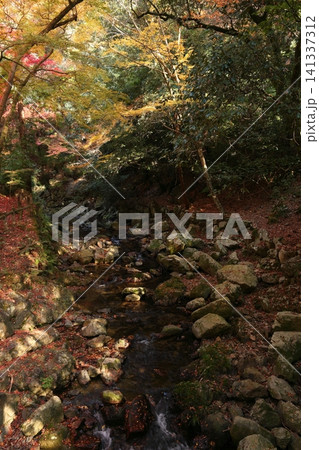 紅葉と川のある風景 141337312