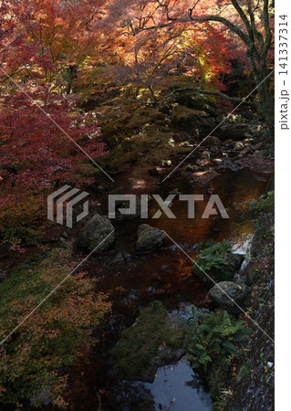 紅葉と川のある風景 紅葉と川のある風景 141337314