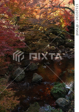 紅葉と川のある風景 141337315