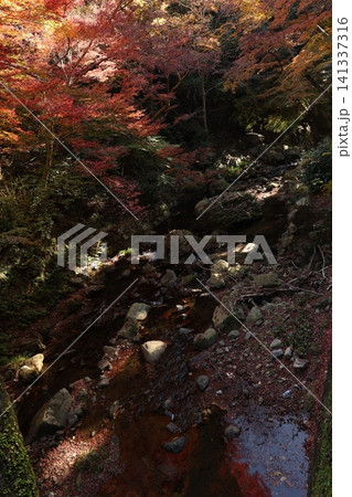紅葉と川のある風景 141337316
