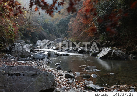 紅葉と川のある風景 紅葉と川のある風景 141337323