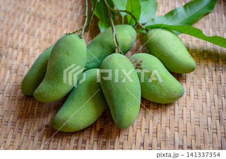 Fresh green mangoes with natural leaves arranged on a traditional bamboo basket, showcasing tropical fruit, organic harvest, and healthy food Fresh green mangoes with natural leaves arranged on a traditional bamboo basket, showcasing tropical fruit, organic harvest, and healthy food 141337354