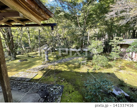 石灯籠と青もみじが彩る風情ある和の庭園 141337416