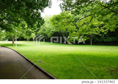 錦織公園 緑豊かな公園 錦織公園 緑豊かな公園 141337462