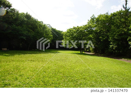 錦織公園 緑豊かな公園 錦織公園 緑豊かな公園 141337470