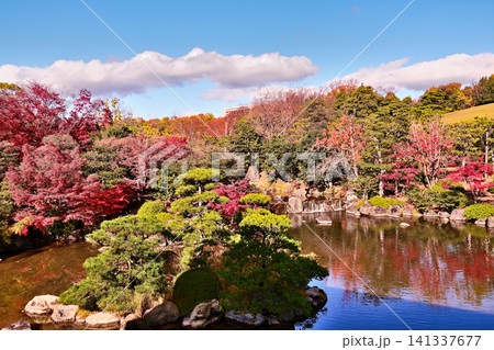 日本庭園の紅葉 141337677