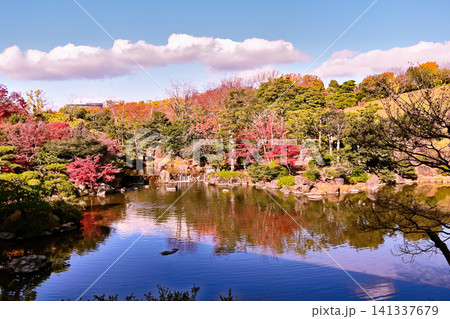 日本庭園の紅葉 141337679