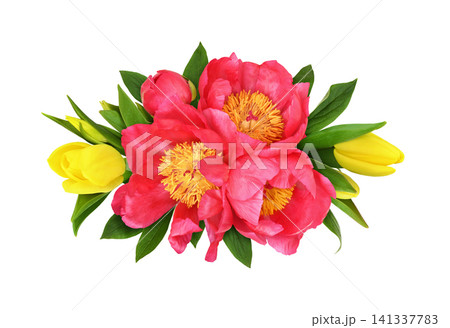 Beautiful coral peonies and yellow tulip flowers in a floral arrangement isolated on white background Beautiful coral peonies and yellow tulip flowers in a floral arrangement isolated on white background 141337783
