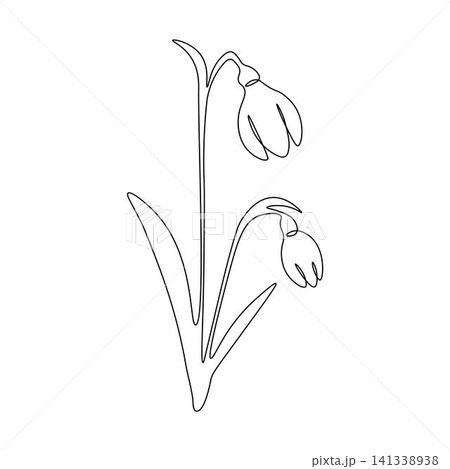Spring snowdrop flower in continuous line art style.Gentle forest first spring flower. For design, decoration and printing 141338938