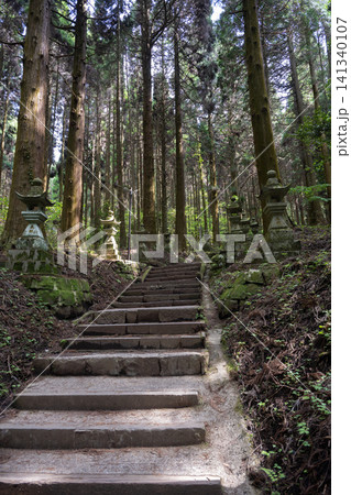 上色見熊野座神社の石灯籠が並ぶ参道・熊本県 上色見熊野座神社の石灯籠が並ぶ参道・熊本県 141340107