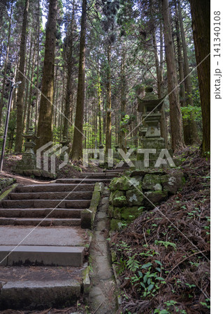 上色見熊野座神社の石灯籠が並ぶ参道・熊本県 上色見熊野座神社の石灯籠が並ぶ参道・熊本県 141340108
