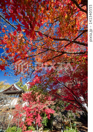 港北ニュータウン・心行寺の紅葉 141340555