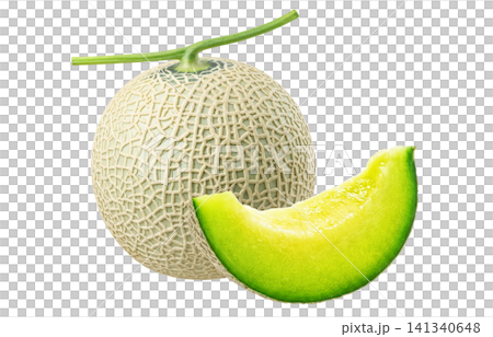 Realistic illustration of a melon 141340648