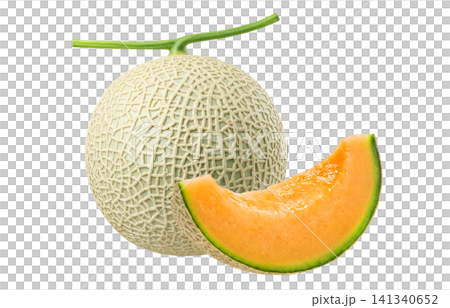 Realistic illustration of a melon Realistic illustration of a melon 141340652