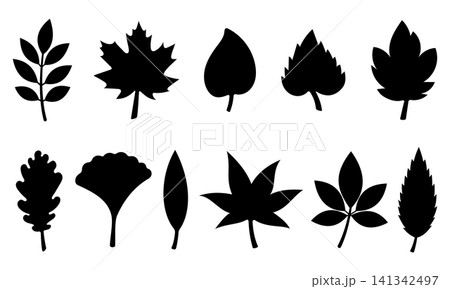 Black Leaf Silhouette Collection with Maple, Oak, Ginkgo, Chestnut and Botanical Foliage Shapes, Isolated Autumn Nature Elements for Logo, Pattern, Decoration, Print and Graphic Design Black Leaf Silhouette Collection with Maple, Oak, Ginkgo, Chestnut and Botanical Foliage Shapes, Isolated Autumn Nature Elements for Logo, Pattern, Decoration, Print and Graphic Design 141342497
