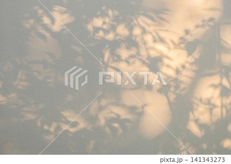 Abstract natural tree branch leaves shadow on beige wall background Abstract natural tree branch leaves shadow on beige wall background 141343273