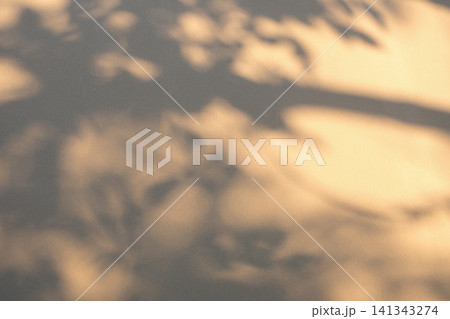 Abstract natural tree branch leaves shadow on beige wall background 141343274