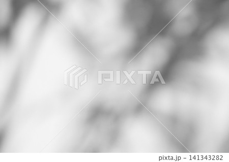 Abstract natural tree branch leaves shadow on white wall background Abstract natural tree branch leaves shadow on white wall background 141343282