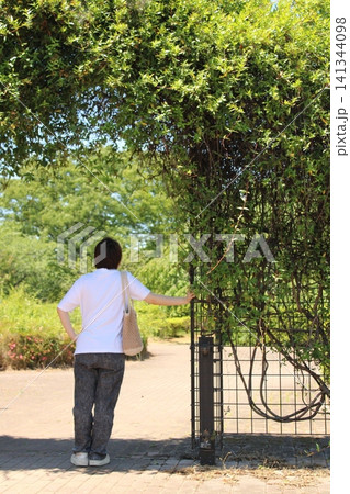公園の入口に立つ女性 141344098