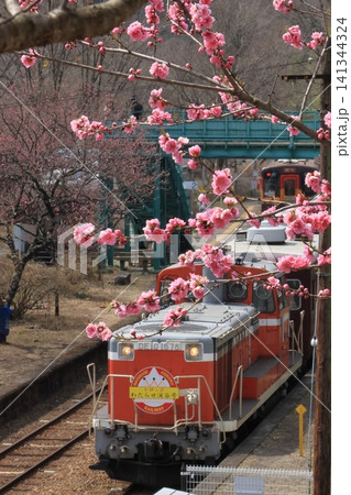 わたらせ渓谷鉄道 春 はなもも わたらせ渓谷鉄道 春 はなもも 141344324