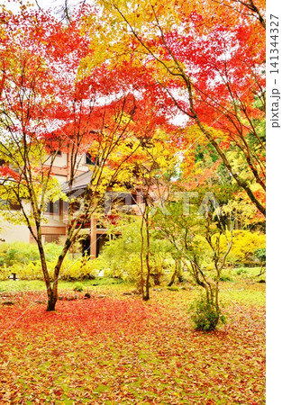 紅葉映える新潟県南魚沼市六日町雲洞庵境内風景 141344327